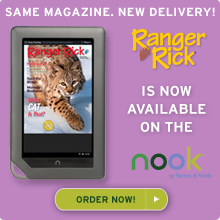 Our award-winning children's magazines are now available on the Nook!